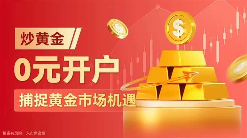 如何炒黄金海岸月季